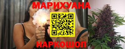 гидра Будённовск