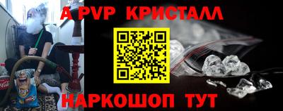 гидра Будённовск