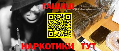 гидра Будённовск