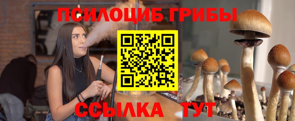 Михайловка  Галлюциногенные грибы Psilocybine cubensis  Вход с VPN 